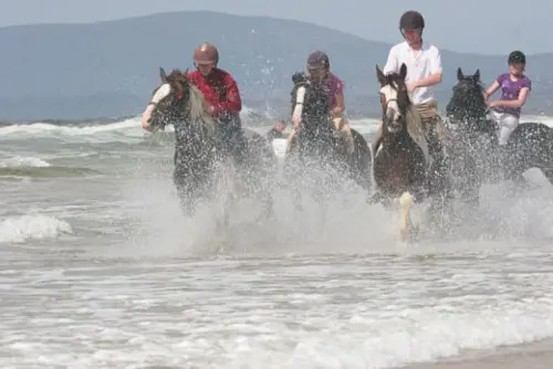 Horse Riding Cork