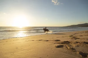 équitation sur la plage